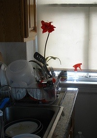 A Single Point of Welcome, &copy; Orin Optiglot, Creative Commons Attributions License